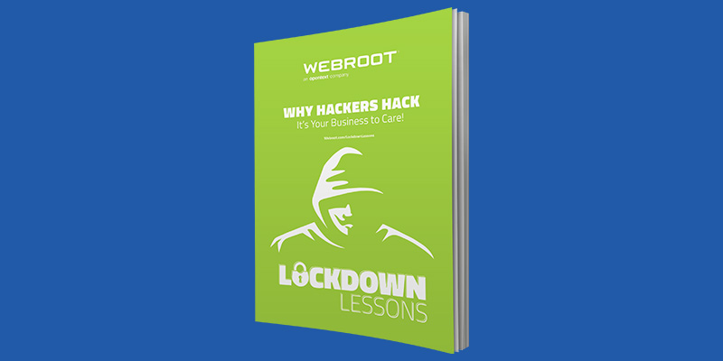 Why Hackers Hack eBook Thumbnail
