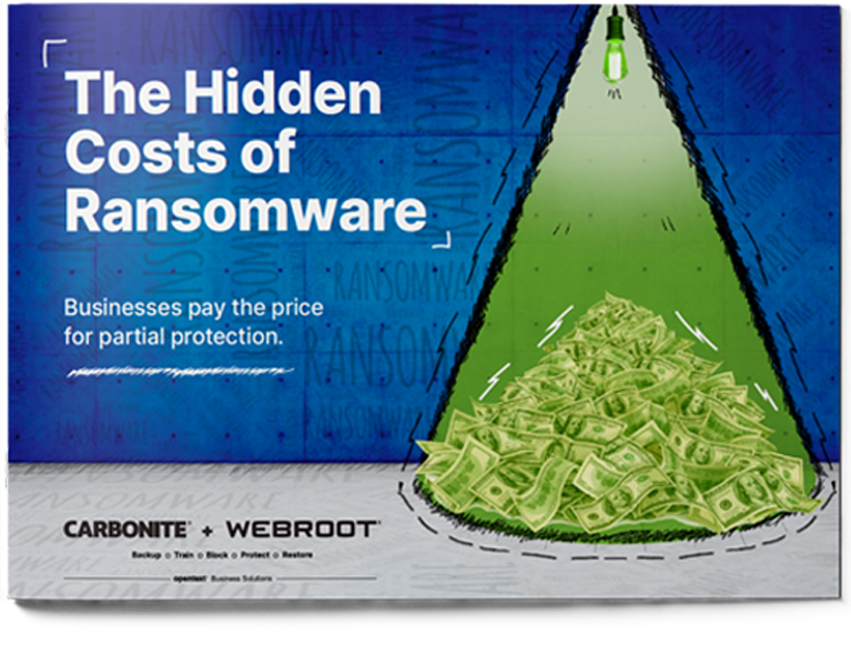 The Hidden Costs of Ransomware